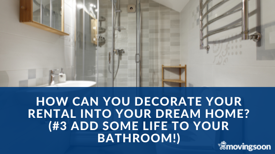 How Can You Decorate Your Rental Into Your Dream Home (#3 Add some life to your bathroom!)