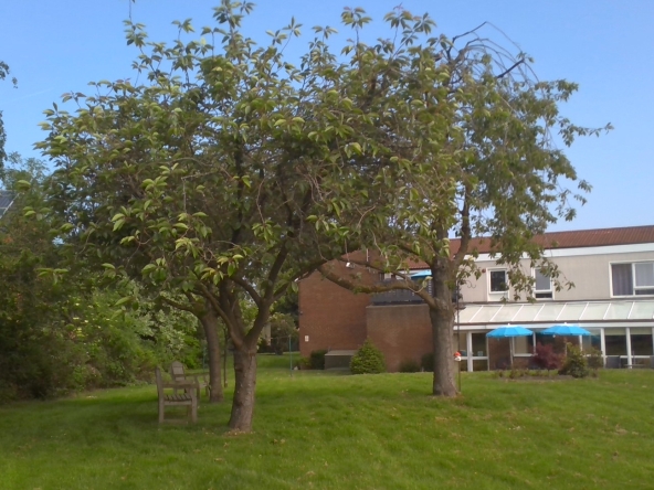 For Rent in sheffield, south yorkshire 1 bedroom Flat